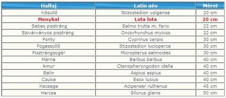 Méretkorlatozások